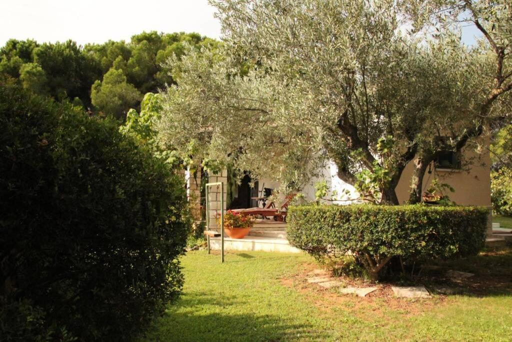 אורוסיי Villa Di Campagna Vicino Al Mare מראה חיצוני תמונה